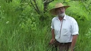 Restoration Agriculture Design Course Mark Shepard