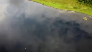 Naturschutzgebiet Halbinsel Holnis - DJI Mavic Mini