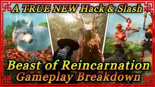 Beast of Reincarnation Gameplay Breakdown