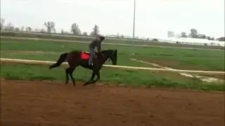 DTR video - 120327 CR1b.wmv