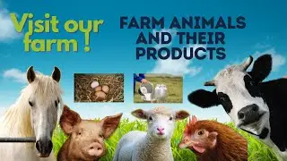 What is Farm| Farm Animals |What do Farm Animals give us?| Educational Video| Animal Sounds| Farm