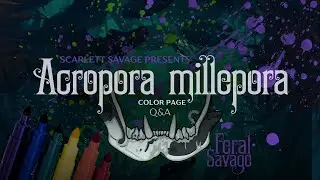 A. millepora Animal?!