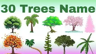 Meet the Trees! 🌳 | Tree Names for Kids | Let's Learn different Types of Tree Names Together baby