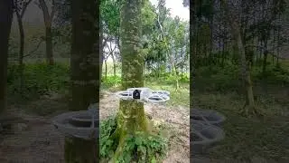 DJI Neo Drone Movement Test | Smooth Flight & Camera Performance