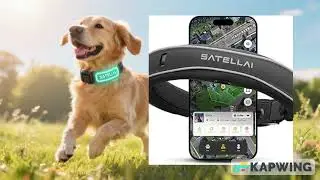 Meet the SATELLAI V1 Advanced GPS Dog Collar