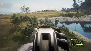 First Diamond duck