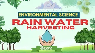 Rainwater Harvesting Explained in 7 Mins | Telugu | @yourdigitalworldsimplified