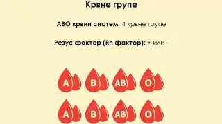Krv i limfa