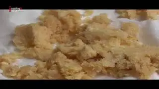 Budidaya Maggot di Tengah Pandemi