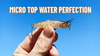 Topwater fishing fun