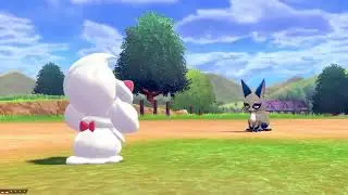 Pokemon Shield: Shiny Nicket