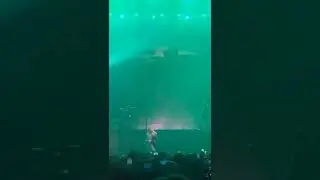 Halsey and   Taking back sunday  on stage  cute without the E