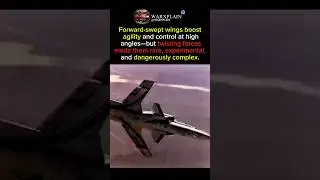 Forward-Swept Wing Aircraft #shorts