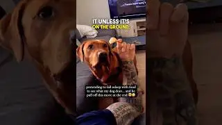 Притворяюсь, что засыпаю с едой 🤣