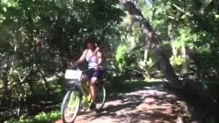 Sanibel Pond Apple Trail