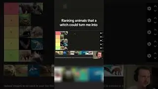 Ranking animals a witch could turn me into based off of how happy I would be #animals #fyp #teirlist