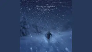 chasing snowflakes