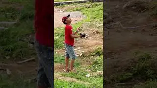 Main layangan #drone #dronedesa #layangan #mainlayangan #village