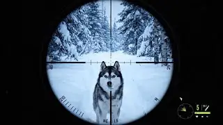 Hunters of the Frozen Arctic | Survival Skills in Extreme Cold