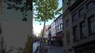 Nijmegen the Netherlands[ beautiful streets]