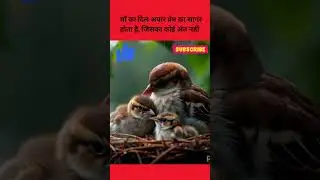 Ma apne bachco ko barish se bachati hui #mother #realinformation #purpose #love
