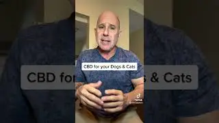 CBD topically for your dogs and cats