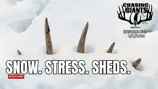 Snow, Sheds & Sorghum: Late-Season Deer Survival | Chasing Giants #311