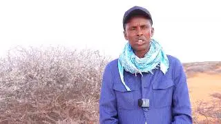 Wasaaradda Gargaarka Dowlad Goboleedka Galmudug oo shaacisay abaaro saameyn xooggan ku yeesheen.