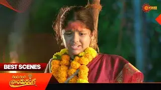 Ranga Ranga Pandu Ranga - Best Scenes | 23 Jan 2026 | Telugu Serial | Gemini TV