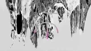 FIST CITY - Everything is a Mess Promo Video