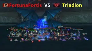 FortunaFortis VS Triadlon | Бонусы :  