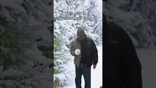 Snow ball fight #memes #shorts