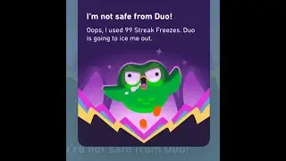 The reason why I&rsquo;m not safe (I&rsquo;M SORRY DUO) duolingo 2024 year in review