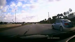 Tiny puppy trying to get off highway after mother dog ran over :(
