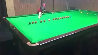 snooker practice.  9 years old kid practicing. mikaeel Ali khan