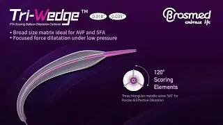 #MeetTheExperts | Optimizing AVF & PAD Interventions with Tri-Wedge&trade; PTA Scoring Balloon