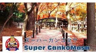 Pavement material of natural color sand    -Super GankoMasa-