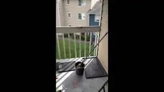 White Man Stands Up For Black Kids After A Older White Guy Tried To Stop Black Kids From Playing Out