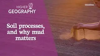 Higher Geography - Soil forming factors and processes