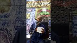 بولی زینب ہم کو تنہا چھوڑ کر جاتی ہے ماں ، خود تڑپتی ہے بہت ہم کو بھی تڑپاتی ہے ماں 