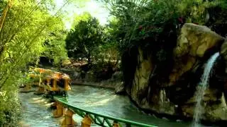 Behind the Thrills on Cheetah Hunt at Busch Gardens Tampa