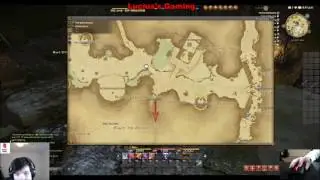 FFXIV Map guide