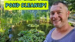 🛠 POND MAINTENANCE MODE: FILTH LEVEL MAXIMUM 🚨 #ponds #koi #fish #waterfall #cleanup