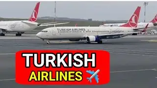 I Tried the Best Airline in the World