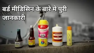 Bird  Breeding tips | calcium,multivitamin,liv 52, ambiplex puri information Medicine ke bare mein