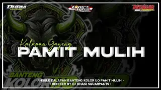 DJ BANTENGAN | PAMIT MULIH | BANTENG KOLOR IJO | VIRAL TIKTOK | BY DJ DHANI SQUARPANTS