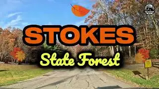 Autumn Road Trip Through Stokes State Forest 🍂🚙