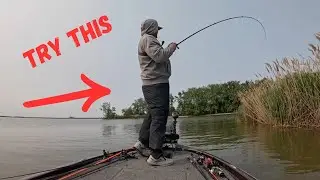 Bass Fishing Lake Erie | Summertime Special