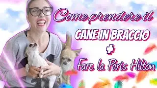 COME PRENDERE IL CANE IN BRACCIO