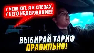ПАССАЖИРКА Дала МОШЕННИКАМ Код К Гос Услугам | ЗАКАЗАЛ Не Тот ТАРИФ Для КОТА | УЖАСНЫЕ ЦЕНЫ В Такси